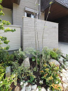 シャーメゾンガーデンズ天文町 0101号-2