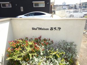 シャーメゾン西大津 0203号-2