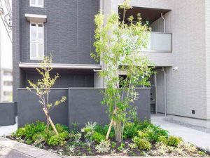 ラ・ルミエール 0301号-5