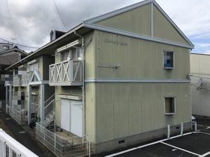 ピノハイツビス