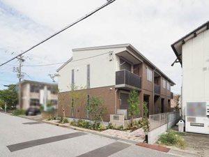 オクサリス 0201号-1