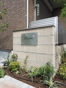 オクサリス 0201号-13