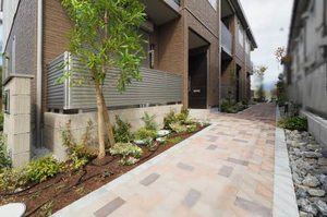 オクサリス 0201号-14