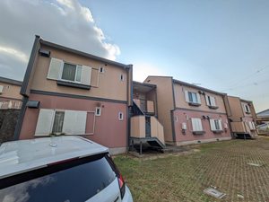 パレコスモス B102号-1