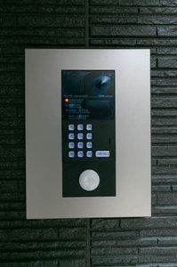 ＳｈａＭａｉｓｏｎ　Ｐｌｕｍ　Ｂｌｏｓｓｏｍ 0303号-4