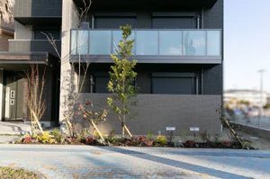 セントリビエ　小白水 0105号-14