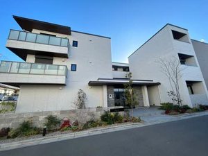 Ｐｌａｎａ　Ｂｅｎｅ 0303号-1