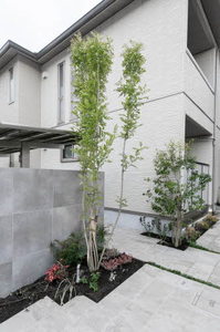 ルルアベル桂 0202号-15