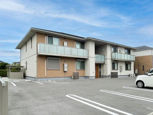 ＳｈａＭａｉｓｏｎ　Ｔ．Ｓ