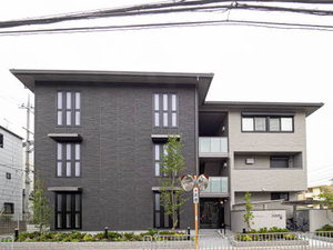 ヴィスターリ桂