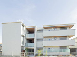 ＳｈａＭａｉｓｏｎ　Ａｏｉｒｏ