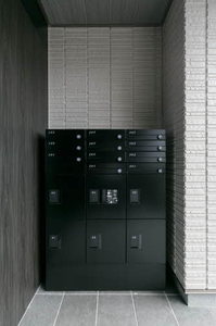 Ｆｅｒｒｉｓ　Ｇａｉａ　Ｍ 0205号-15