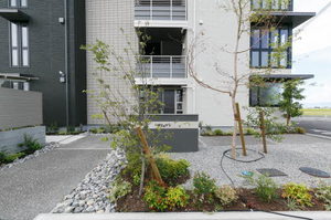 オリュゾン 0202号-15