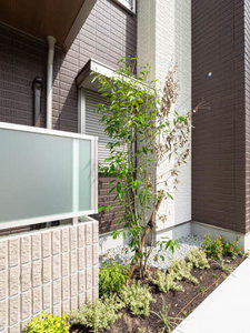 ＢＥＲＥＯ名高 0101号-15