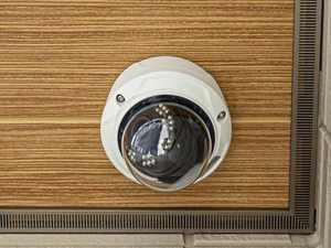 シャーメゾン早春花 0101号-4