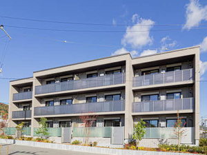 Ｓｈａ　Ｍａｉｓｏｎ　Ｇｒａｎｄｅ 0307号-13