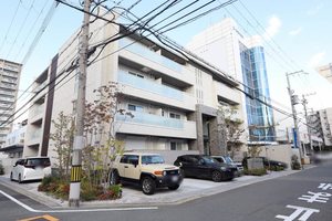 Ｌｉｇｈｔ　ｖｉｌｌａ　江坂 0202号-1