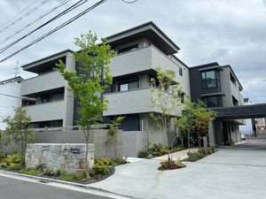 ＳｈａＭａｉｓｏｎ　Ｓｙｍｐｈｏｎｙ