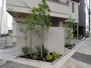 シャーメゾン　プレミアコート 0201号-12