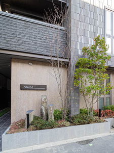 Ｓｔａｒ　Ｍ 0302号-13