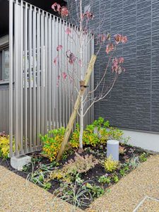 マイルストーンＮ山陵 0301号-5