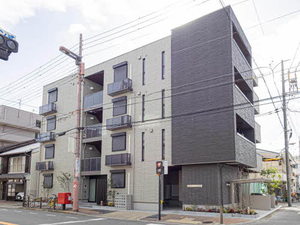 ＳｈａＭａｉｓｏｎ　ＬＯＴＵＳ