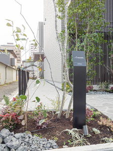 Ａ　ｍｏｎｔｅ． 0201号-3