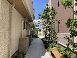 シャーメゾン小町 0102号-3