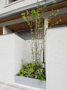 シャーメゾン室町御所西 0101号-14