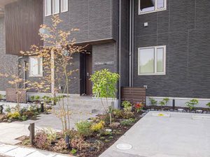 フォレナ　ユー 0103号-8