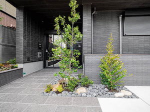 シャーメゾン大市プレミア 0202号-13