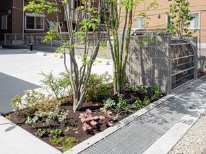 梅ノ木ソレアード 0202号-4