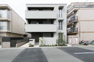 ＳｈａＭａｉｓｏｎ　ｐｏｎｏ 0301号-12