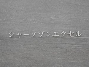 シャーメゾン　エクセル 0206号-12
