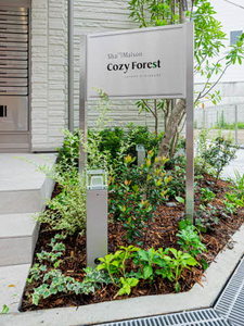 シャーメゾン　Ｃｏｚｙ　Ｆｏｒｅｓｔ 0205号-11