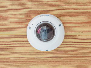 シャーメゾン　Ｃｏｚｙ　Ｆｏｒｅｓｔ 0202号-13