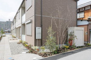 ベル　ディモーラ 0105号-14