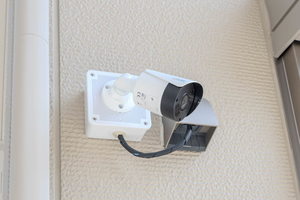 ＳｈａＭａｉｓｏｎ　慶 0101号-5