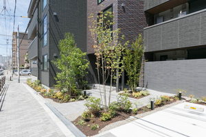 シャーメゾン　パークイースト 0201号-6