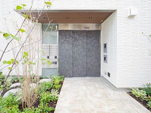 The Eternal Chrysanthemum 0102号-12