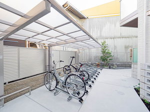 The Eternal Chrysanthemum 0102号-13