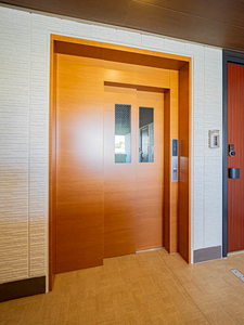 The Eternal Chrysanthemum 0102号-14