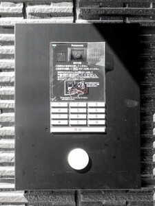 ｐｌａｉｓｉｒ　ｒａｆｆｉｎｅ 0305号-14