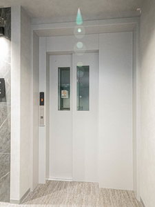 ｐｌａｉｓｉｒ　ｒａｆｆｉｎｅ 0305号-15