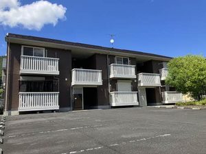 Ｓｅｊｏｕｒ　Ｄａｉｗａ　Ｎ 0103号-1