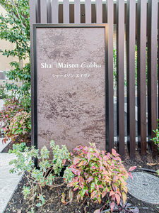 Ｓｈａ　Ｍａｉｓｏｎ　Ｅａｂｈａ（エイヴァ） 0103号-11