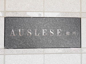 アウスレーゼ御所 0302号-12