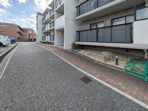 メゾン・ド・シャルム 0303号-3