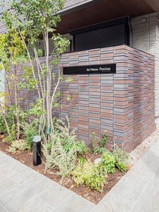 ＳｈａＭａｉｓｏｎ　Ｐｒｅｃｉｏｕｓ 0101号-11