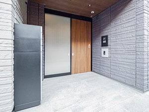 ＳｈａＭａｉｓｏｎ　Ｐｒｅｃｉｏｕｓ 0101号-12